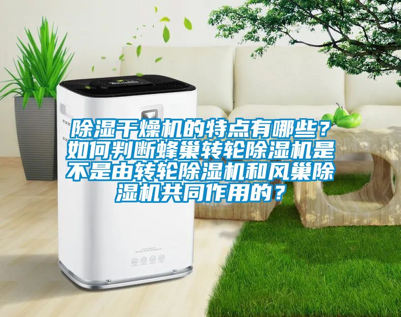 除濕干燥機(jī)的特點(diǎn)有哪些？如何判斷蜂巢轉(zhuǎn)輪除濕機(jī)是不是由轉(zhuǎn)輪除濕機(jī)和風(fēng)巢除濕機(jī)共同作用的？