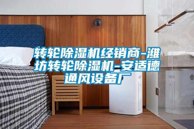 轉(zhuǎn)輪除濕機(jī)經(jīng)銷(xiāo)商-濰坊轉(zhuǎn)輪除濕機(jī)-安適德通風(fēng)設(shè)備廠(chǎng)
