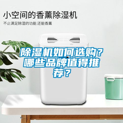 除濕機(jī)如何選購(gòu)？哪些品牌值得推薦？