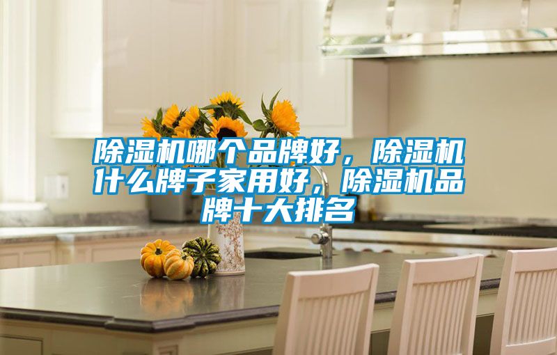 除濕機(jī)哪個(gè)品牌好，除濕機(jī)什么牌子家用好，除濕機(jī)品牌十大排名