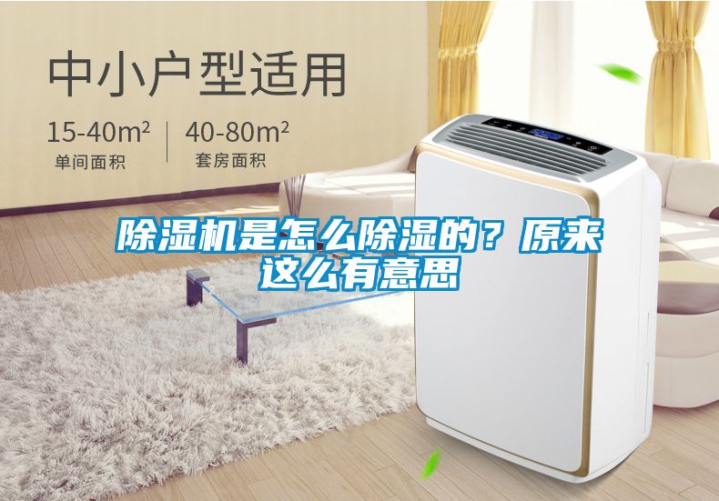除濕機(jī)是怎么除濕的？原來這么有意思