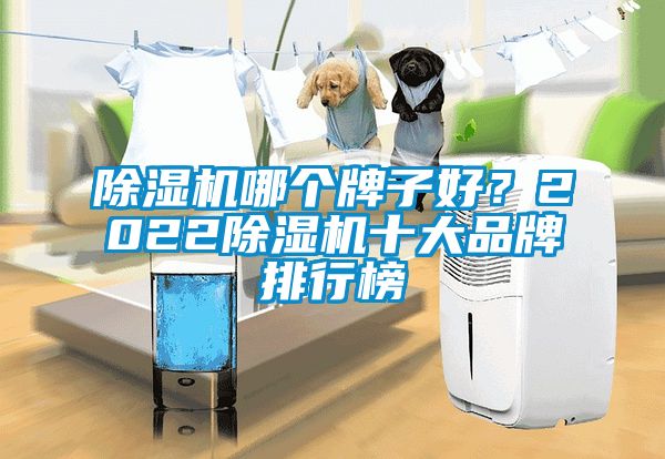 除濕機(jī)哪個(gè)牌子好？2022除濕機(jī)十大品牌排行榜