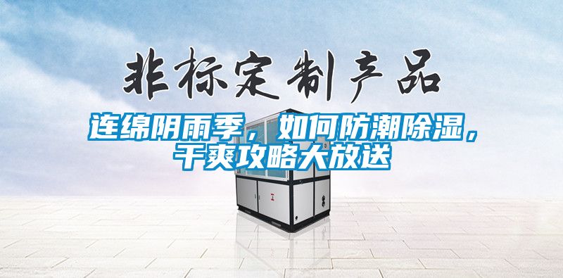 連綿陰雨季，如何防潮除濕，干爽攻略大放送