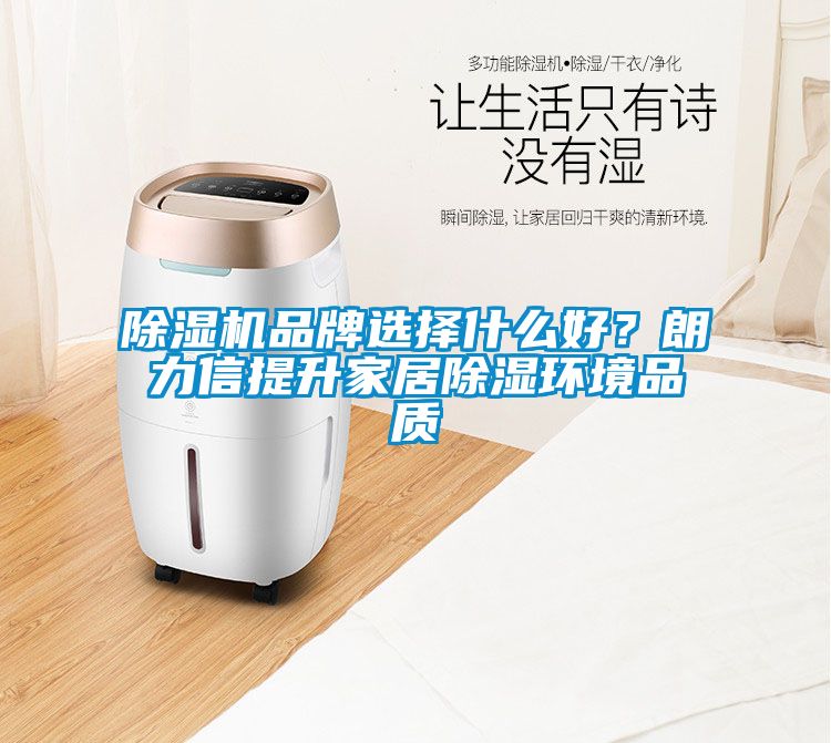 除濕機品牌選擇什么好？朗力信提升家居除濕環(huán)境品質(zhì)