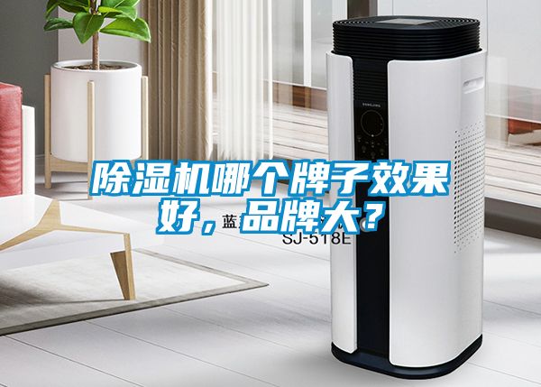 除濕機(jī)哪個牌子效果好，品牌大？