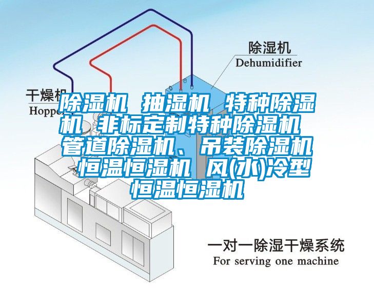 除濕機 抽濕機 特種除濕機 非標定制特種除濕機 管道除濕機、吊裝除濕機 恒溫恒濕機 風(fēng)(水)冷型恒溫恒濕機