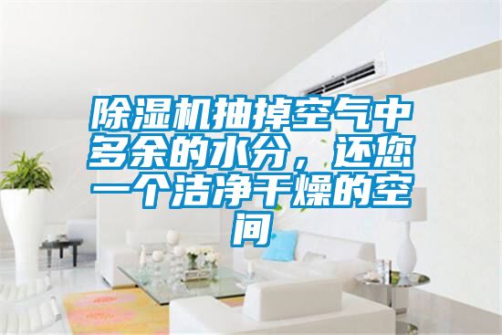 除濕機(jī)抽掉空氣中多余的水分，還您一個(gè)潔凈干燥的空間