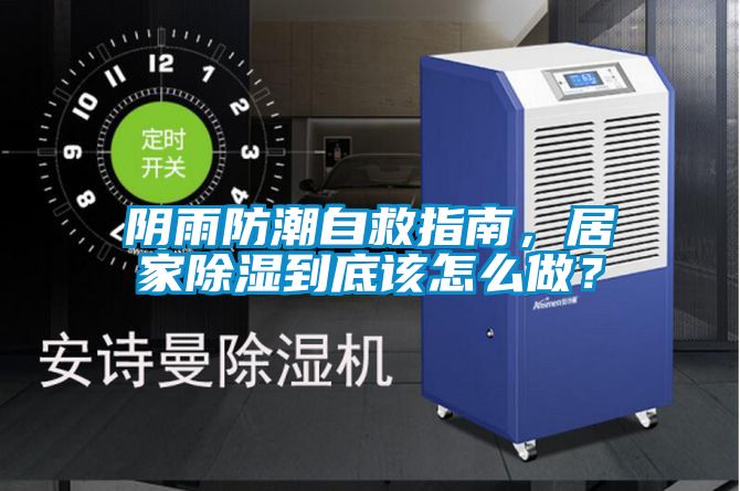 陰雨防潮自救指南，居家除濕到底該怎么做？