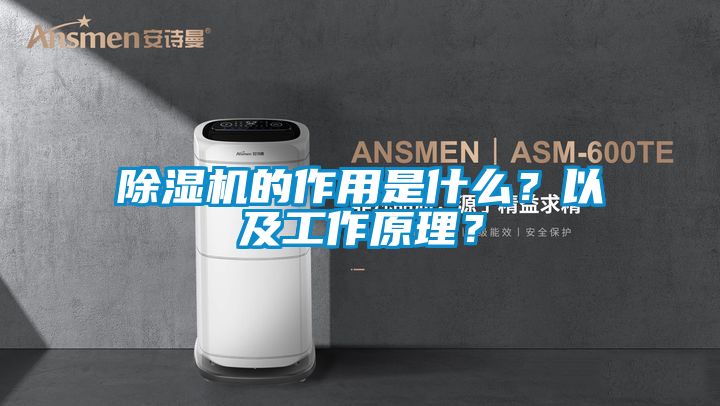 除濕機(jī)的作用是什么？以及工作原理？