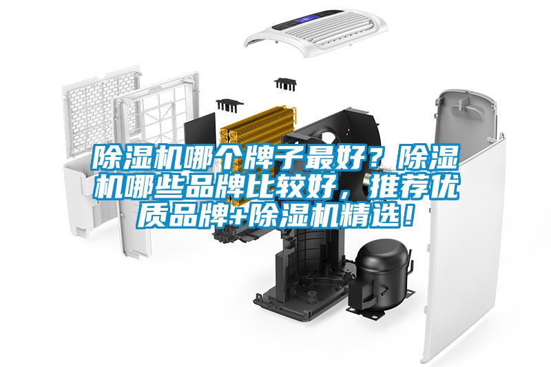 除濕機(jī)哪個牌子最好？除濕機(jī)哪些品牌比較好，推薦優(yōu)質(zhì)品牌+除濕機(jī)精選！