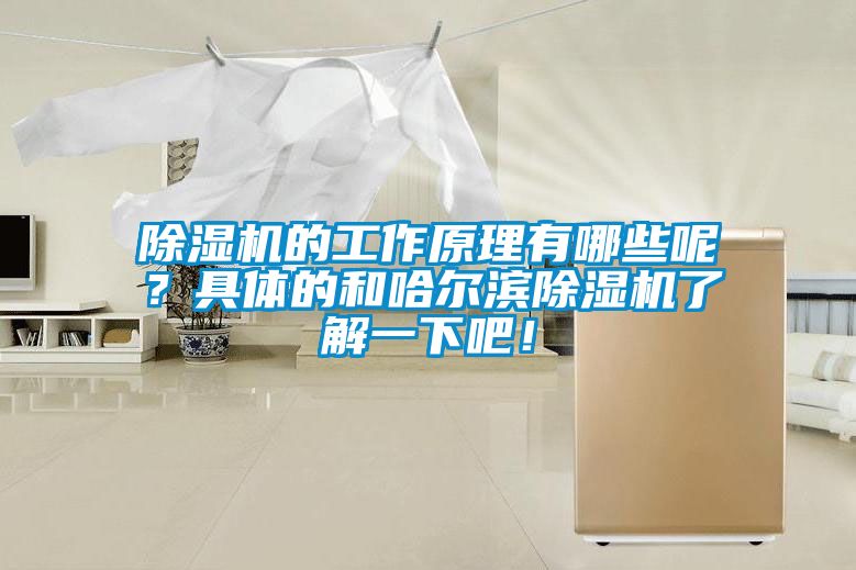 除濕機(jī)的工作原理有哪些呢？具體的和哈爾濱除濕機(jī)了解一下吧！