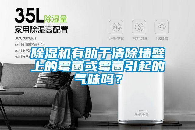 除濕機(jī)有助于清除墻壁上的霉菌或霉菌引起的氣味嗎？