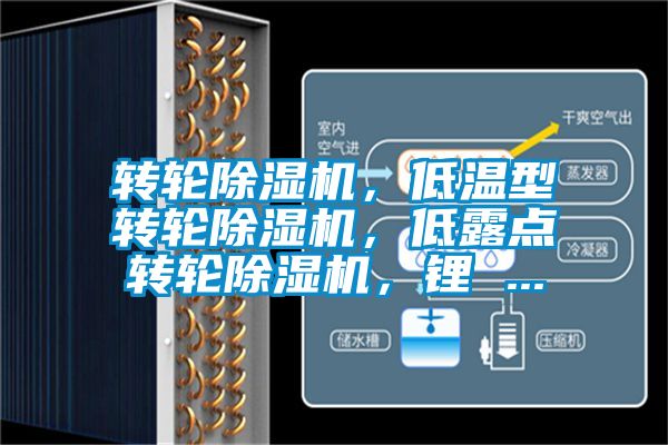 轉(zhuǎn)輪除濕機(jī)，低溫型轉(zhuǎn)輪除濕機(jī)，低露點(diǎn)轉(zhuǎn)輪除濕機(jī)，鋰 ...