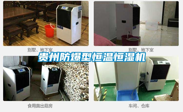 貴州防爆型恒溫恒濕機