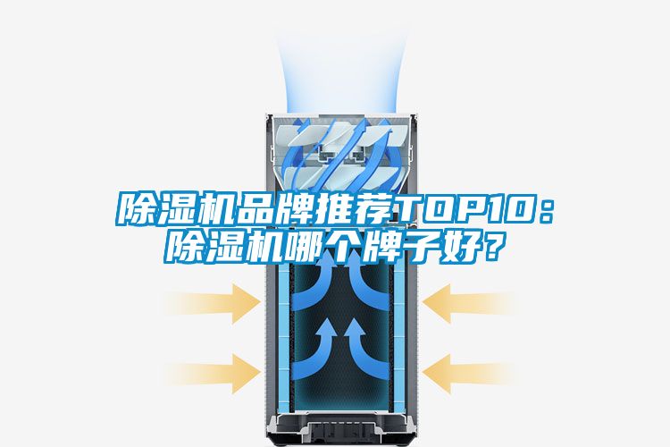 除濕機(jī)品牌推薦TOP10：除濕機(jī)哪個(gè)牌子好？
