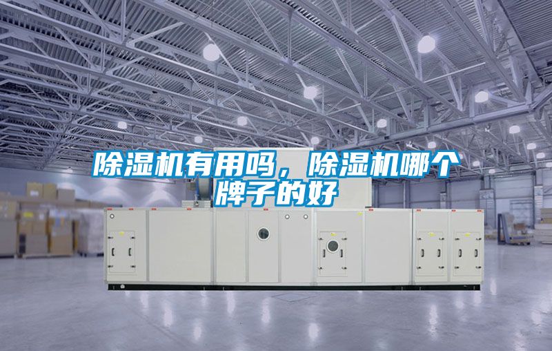 除濕機(jī)有用嗎，除濕機(jī)哪個(gè)牌子的好