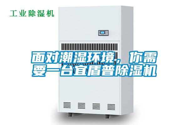 面對(duì)潮濕環(huán)境，你需要一臺(tái)宜盾普除濕機(jī)