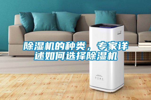 除濕機的種類，專家詳述如何選擇除濕機