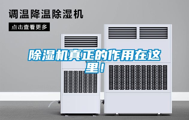 除濕機(jī)真正的作用在這里！