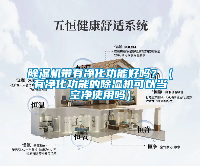 除濕機帶有凈化功能好嗎？（有凈化功能的除濕機可以當(dāng)空凈使用嗎）