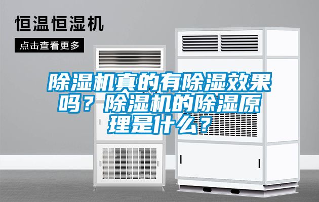 除濕機真的有除濕效果嗎？除濕機的除濕原理是什么？