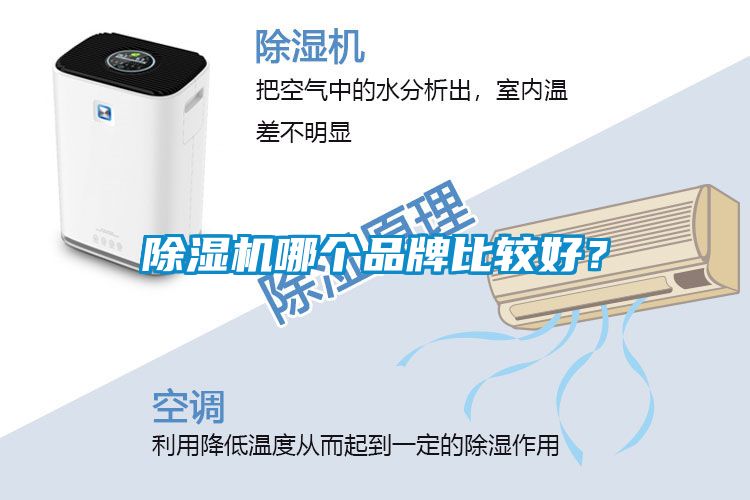 除濕機(jī)哪個(gè)品牌比較好？