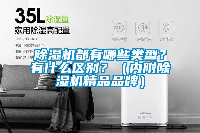 除濕機都有哪些類型？有什么區(qū)別？（內(nèi)附除濕機精品品牌）