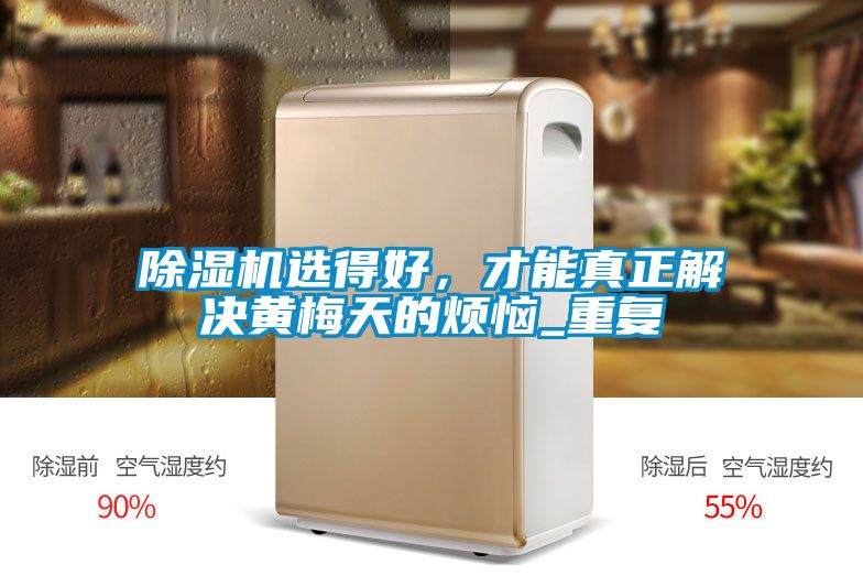 除濕機選得好，才能真正解決黃梅天的煩惱_重復