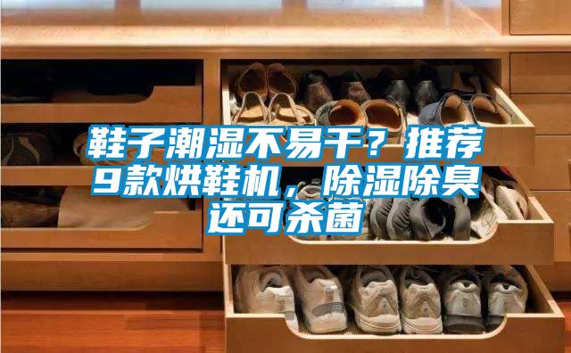 鞋子潮濕不易干？推薦9款烘鞋機(jī)，除濕除臭還可殺菌
