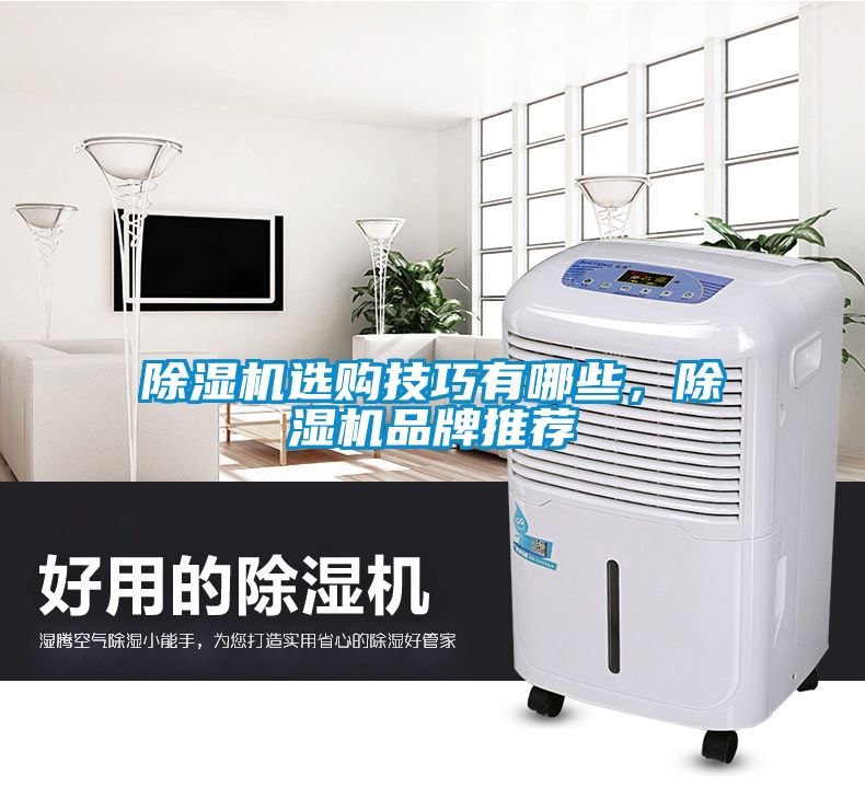 除濕機選購技巧有哪些，除濕機品牌推薦