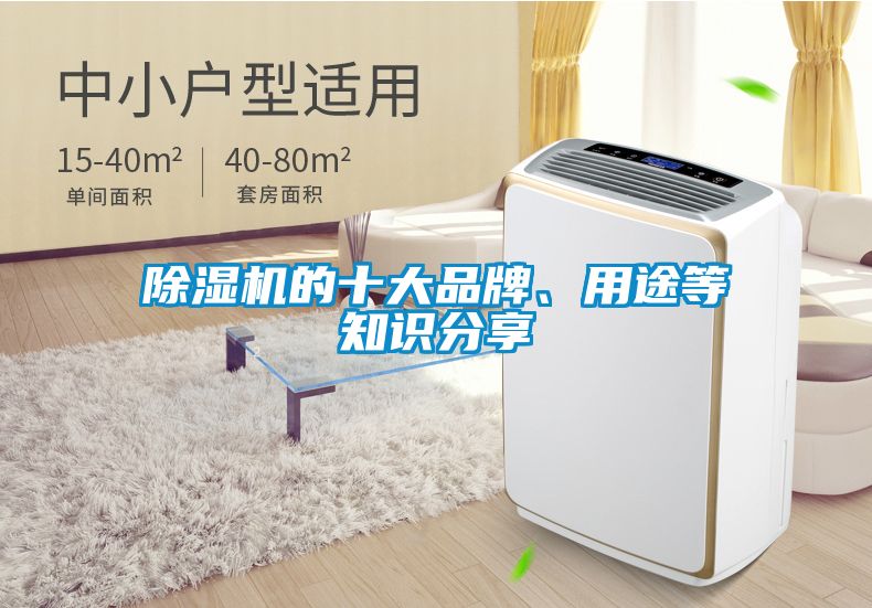 除濕機(jī)的十大品牌、用途等知識(shí)分享