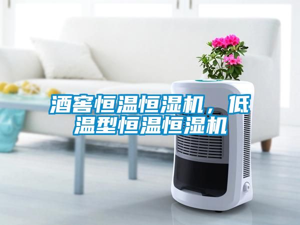 酒窖恒溫恒濕機(jī)，低溫型恒溫恒濕機(jī)