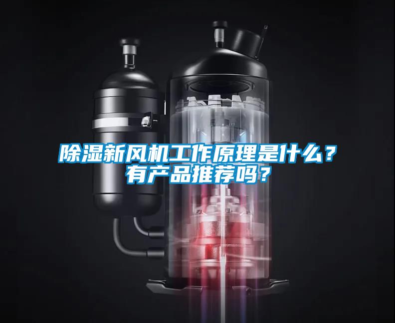除濕新風(fēng)機(jī)工作原理是什么？有產(chǎn)品推薦嗎？