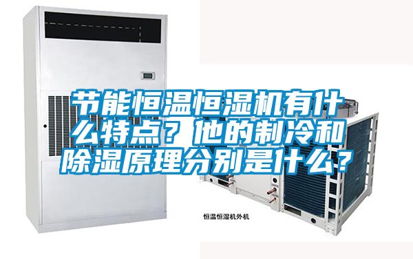 節(jié)能恒溫恒濕機(jī)有什么特點(diǎn)？他的制冷和除濕原理分別是什么？