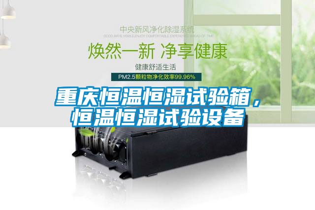重慶恒溫恒濕試驗箱，恒溫恒濕試驗設備