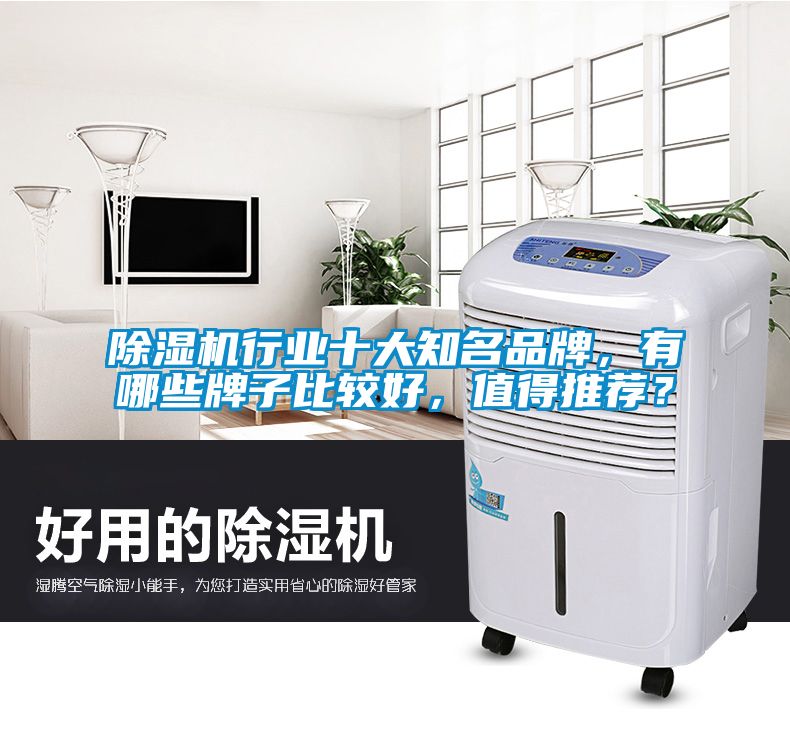 除濕機(jī)行業(yè)十大知名品牌，有哪些牌子比較好，值得推薦？