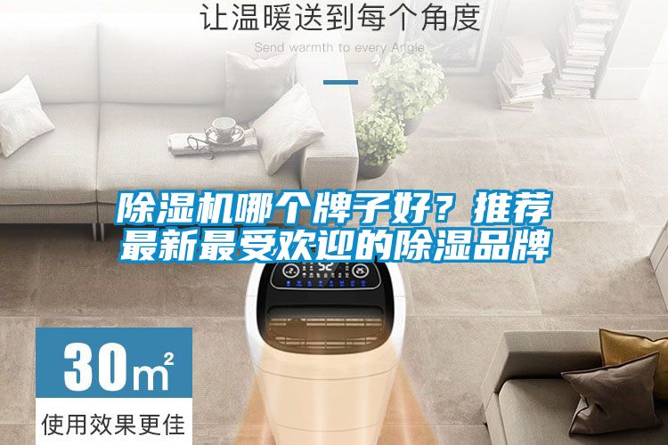 除濕機(jī)哪個(gè)牌子好？推薦最新最受歡迎的除濕品牌