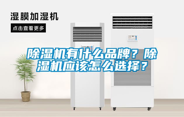 除濕機(jī)有什么品牌？除濕機(jī)應(yīng)該怎么選擇？