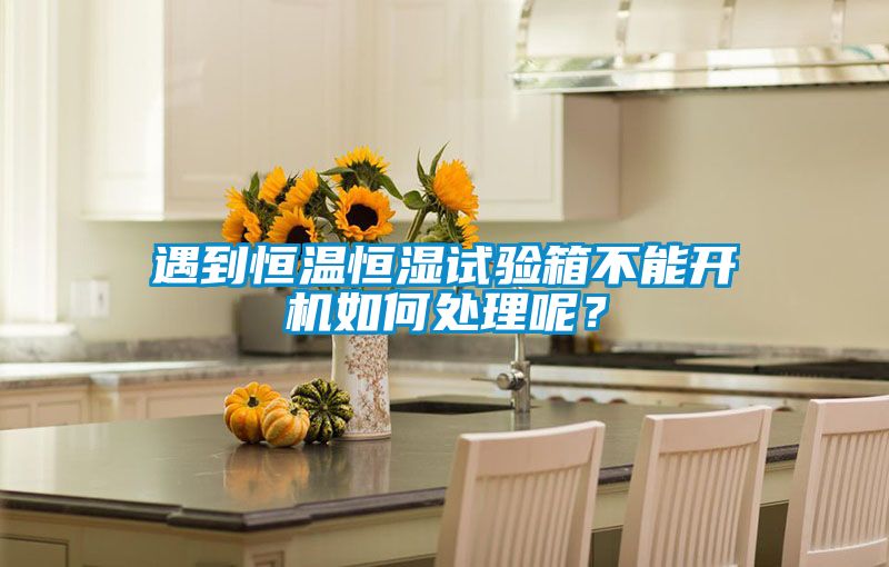 遇到恒溫恒濕試驗箱不能開機(jī)如何處理呢？