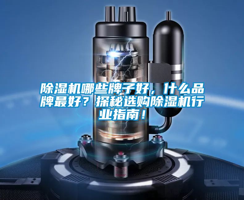 除濕機(jī)哪些牌子好，什么品牌最好？探秘選購除濕機(jī)行業(yè)指南！