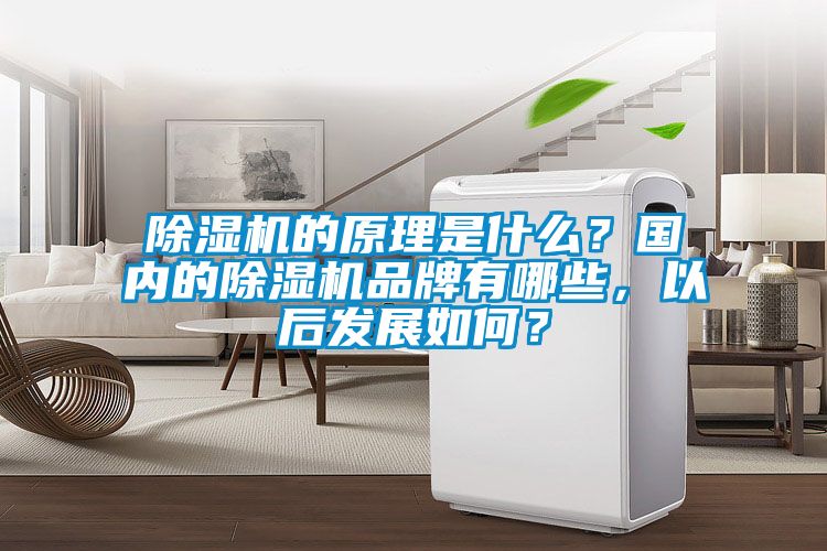除濕機(jī)的原理是什么？國(guó)內(nèi)的除濕機(jī)品牌有哪些，以后發(fā)展如何？