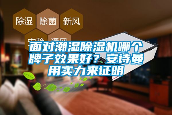 面對(duì)潮濕除濕機(jī)哪個(gè)牌子效果好？安詩曼用實(shí)力來證明