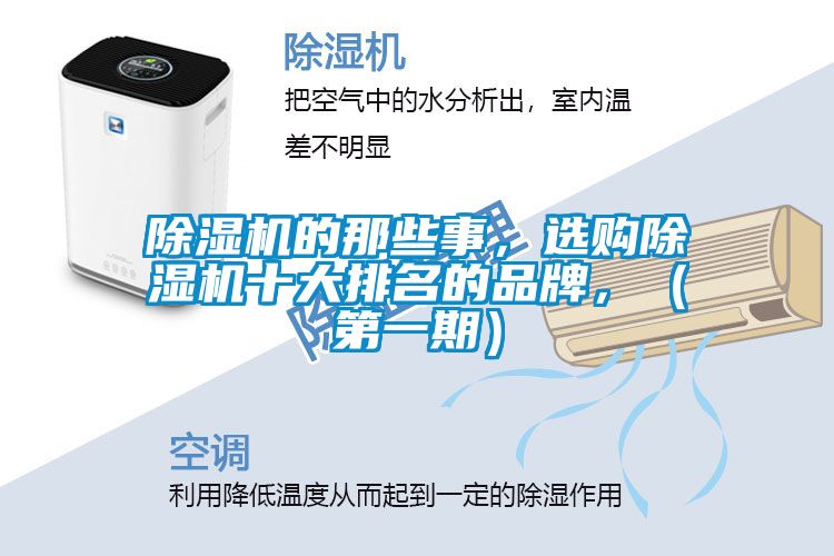 除濕機(jī)的那些事，選購(gòu)除濕機(jī)十大排名的品牌，（第一期）