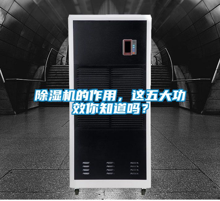 除濕機(jī)的作用，這五大功效你知道嗎？