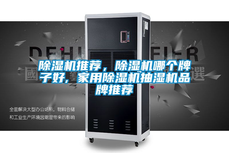 除濕機(jī)推薦，除濕機(jī)哪個(gè)牌子好, 家用除濕機(jī)抽濕機(jī)品牌推薦