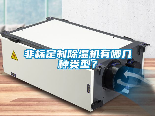 非標(biāo)定制除濕機(jī)有哪幾種類型？