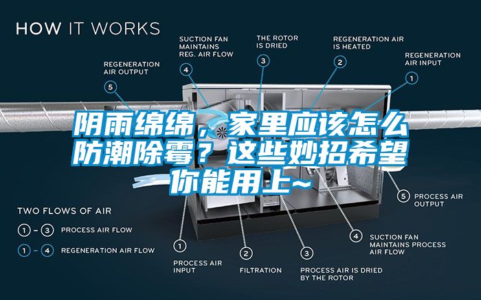 陰雨綿綿，家里應(yīng)該怎么防潮除霉？這些妙招希望你能用上~