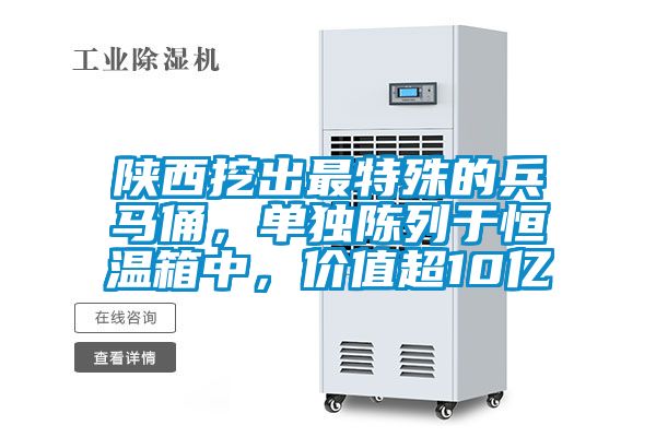 陜西挖出最特殊的兵馬俑，單獨陳列于恒溫箱中，價值超10億