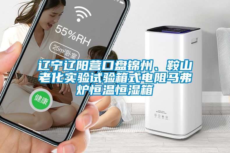 遼寧遼陽(yáng)營(yíng)口盤錦州、鞍山老化實(shí)驗(yàn)試驗(yàn)箱式電阻馬弗爐恒溫恒濕箱