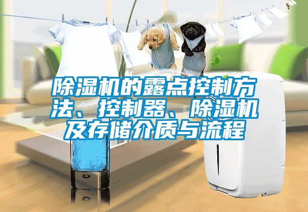 除濕機(jī)的露點(diǎn)控制方法、控制器、除濕機(jī)及存儲(chǔ)介質(zhì)與流程